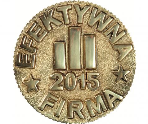 Efektywna Firma