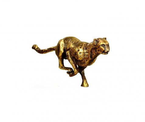 Gepard Biznesu